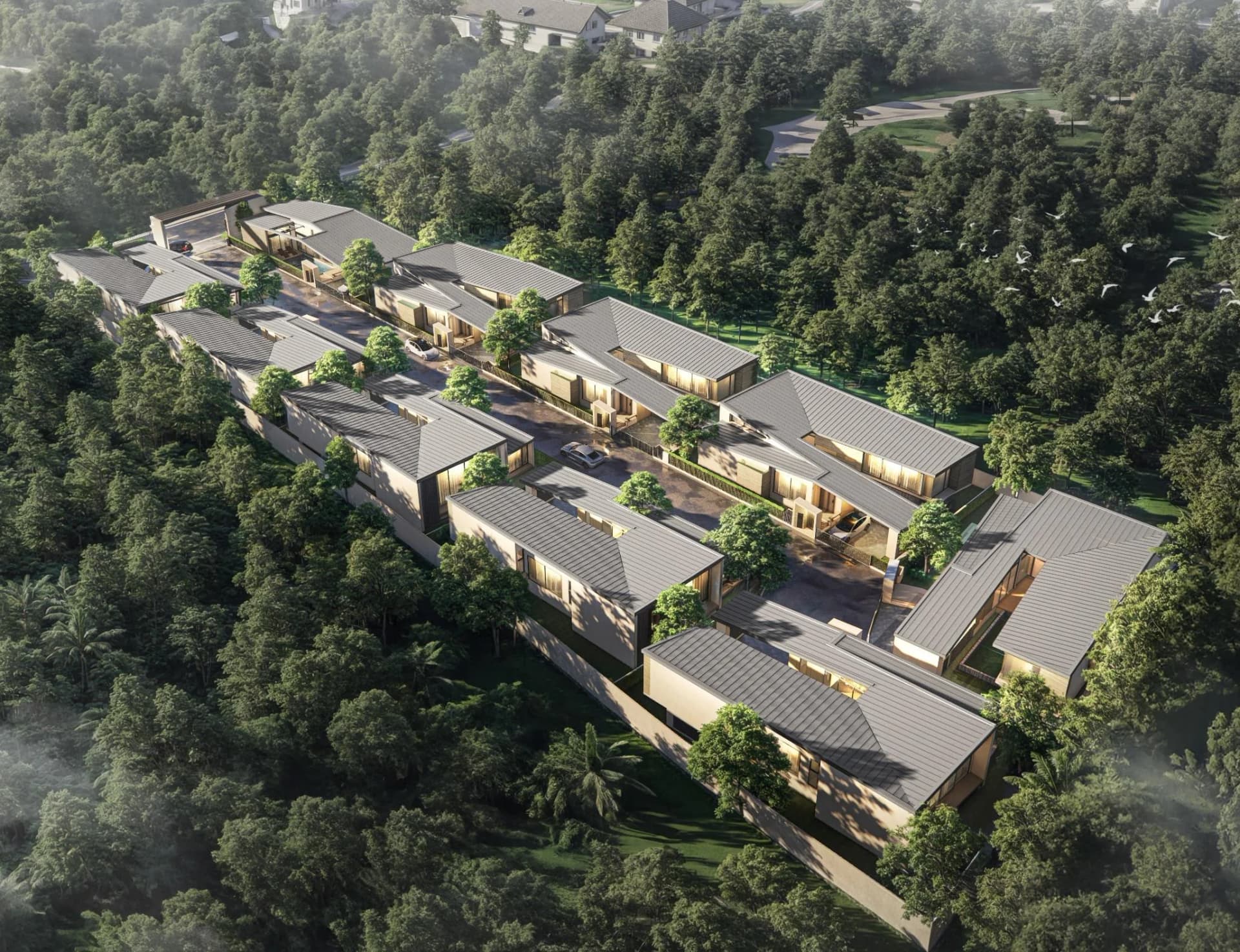 Die Villenstraße von der Waldseite: Dächer, Innenhöfe und Pools zwischen hohen Bäumen